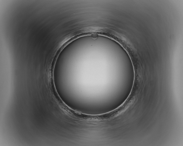 X0000116061073200911271238