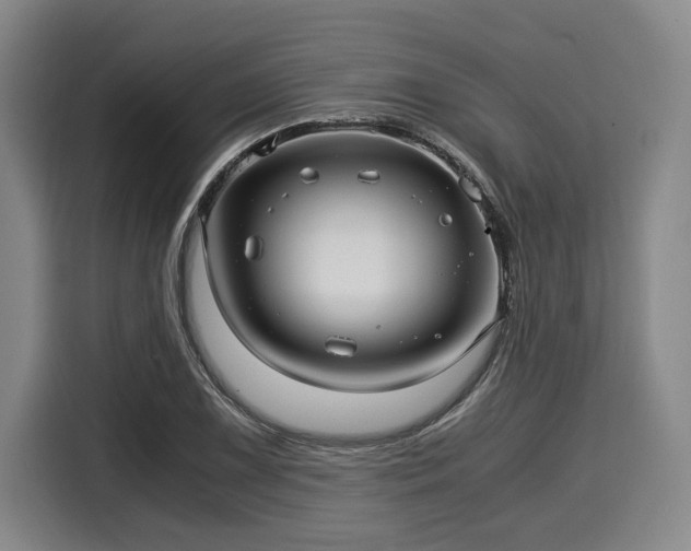 X0000116061075200911271238