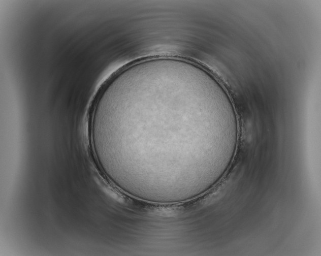 X0000116061078200911271237