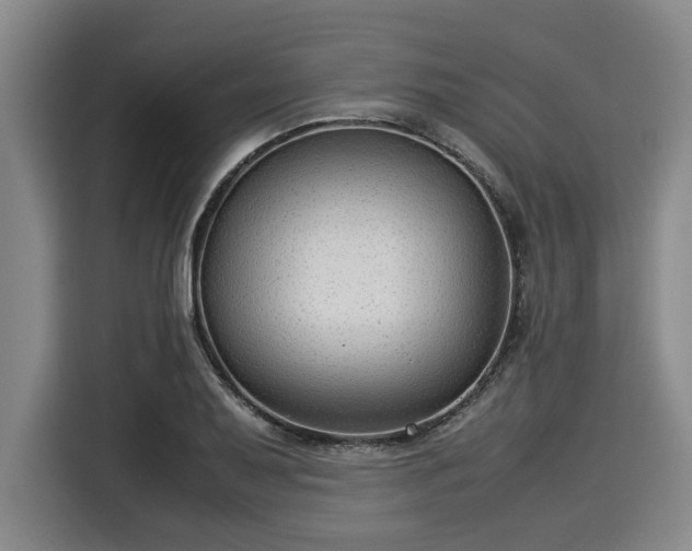 X0000116061079200911271237