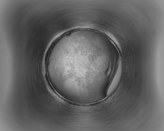 X0000116061080200911271237