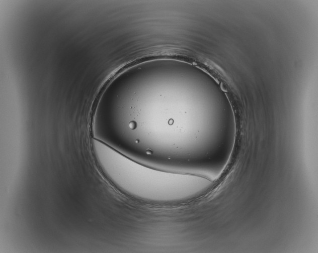 X0000116061081200911271237