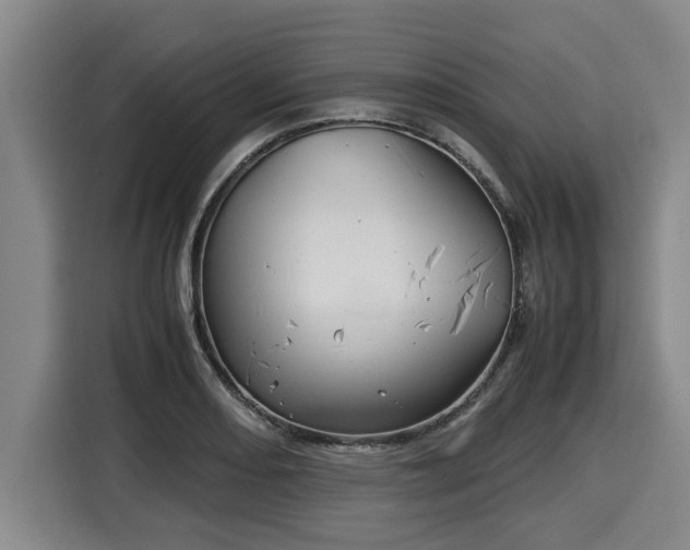X0000116061082200911271237