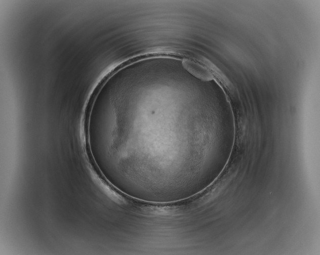 X0000116061084200911271237
