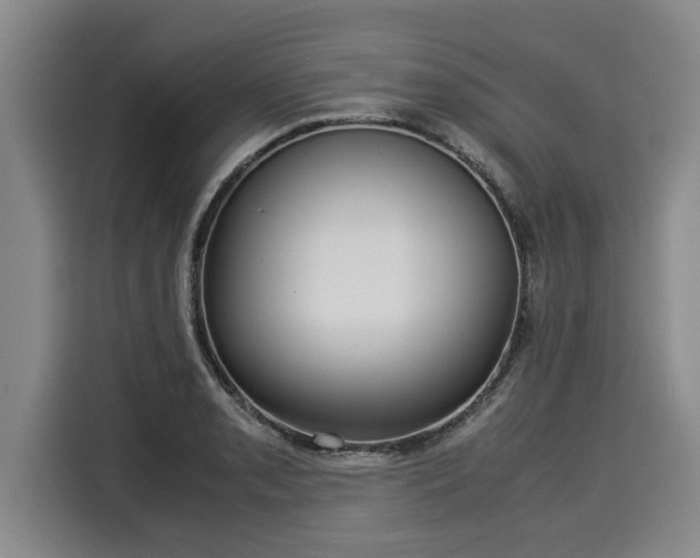 X0000116061085200911271237
