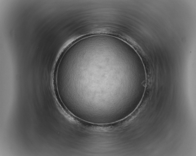 X0000116061086200911271237