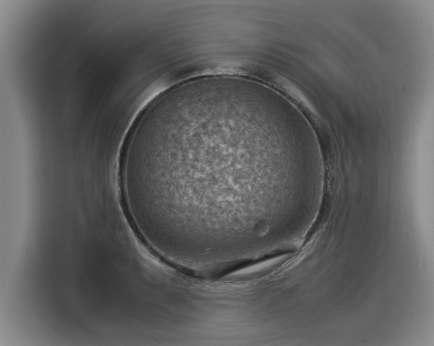 X0000116061087200911271237