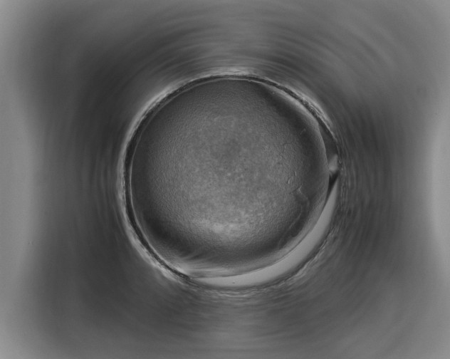 X0000116061088200911271237