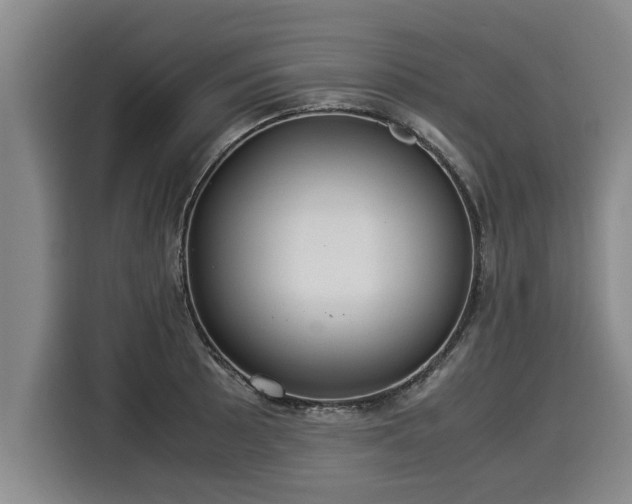 X0000116061089200911271237