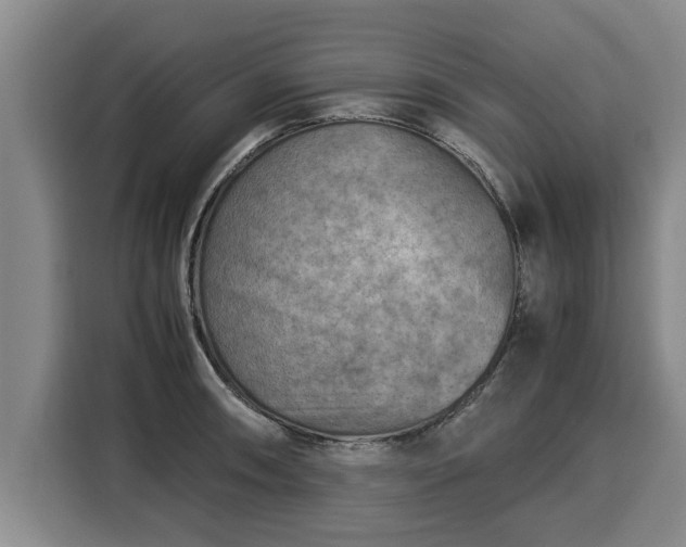 X0000116061090200911271237