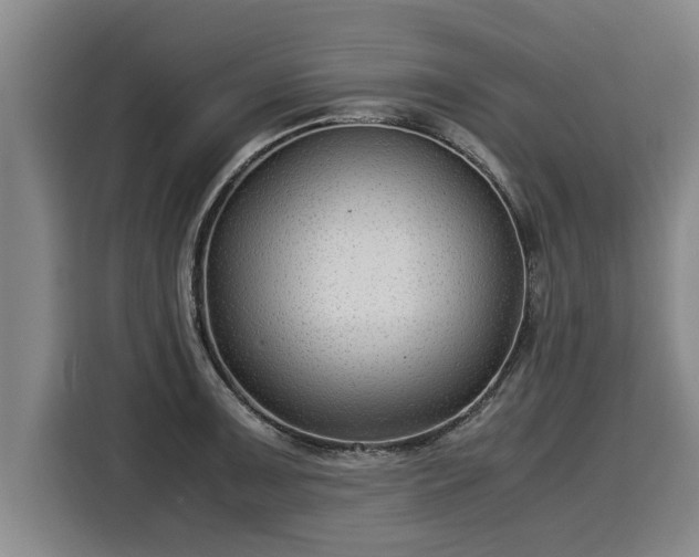 X0000116061091200911271237