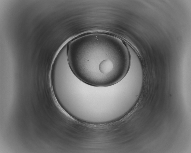 X0000116061092200911271237