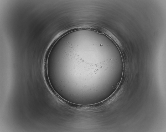 X0000116061093200911271237