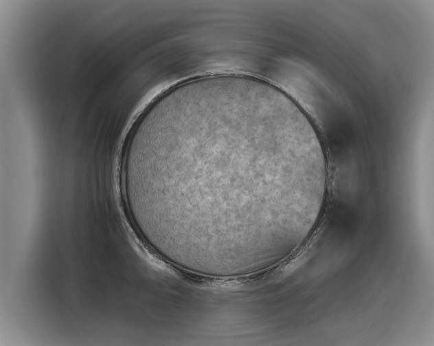 X0000116061094200911271237
