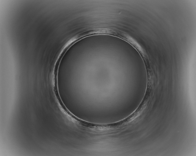 X0000116061095200911271237