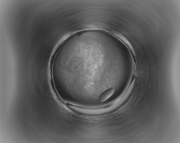X0000116061096200911271237