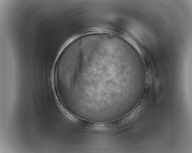 X0000116061098200911271237