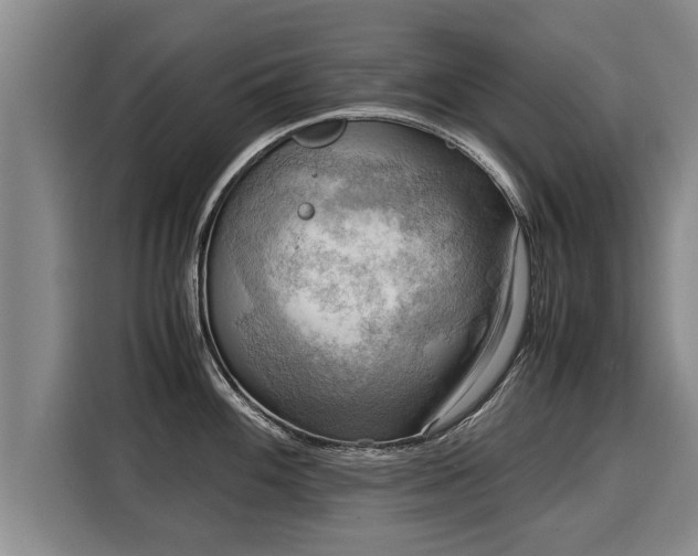 X0000116061100200911271237