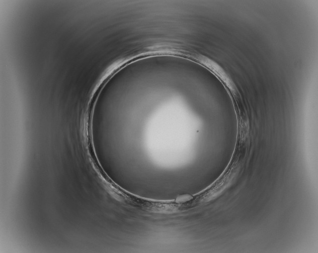 X0000116061101200911271237