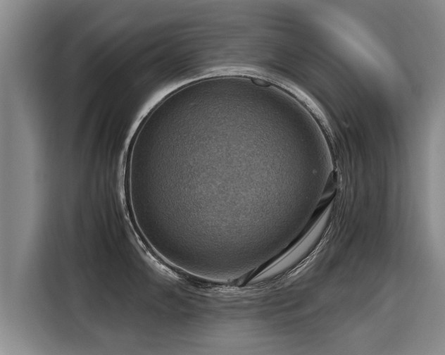 X0000116061102200911271237