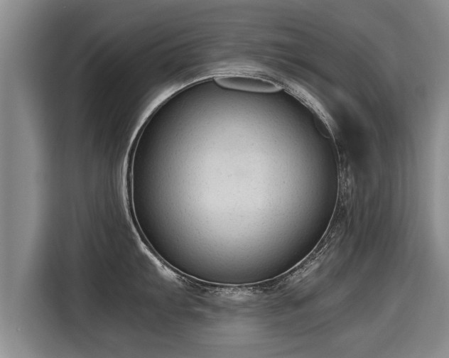 X0000116061103200911271237