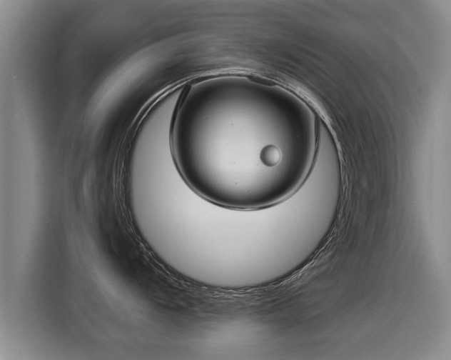 X0000116061104200911271237