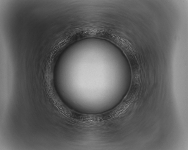 X0000116061105200911271237