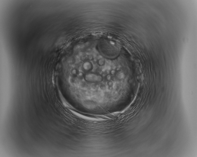 X0000116061106200911271237