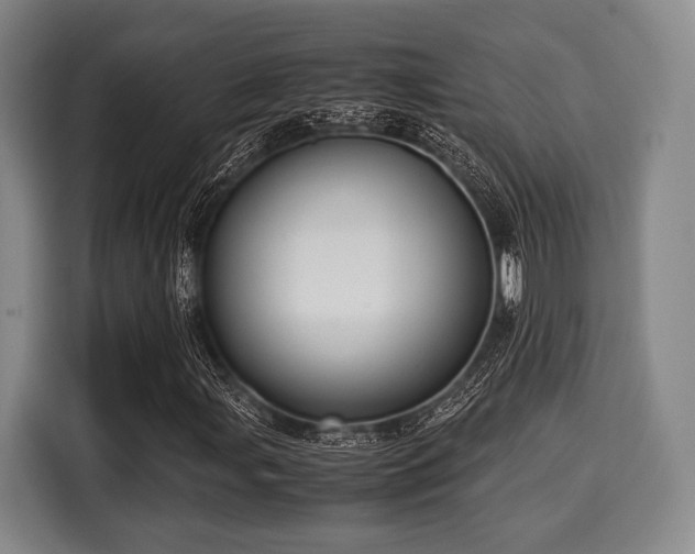 X0000116061107200911271237