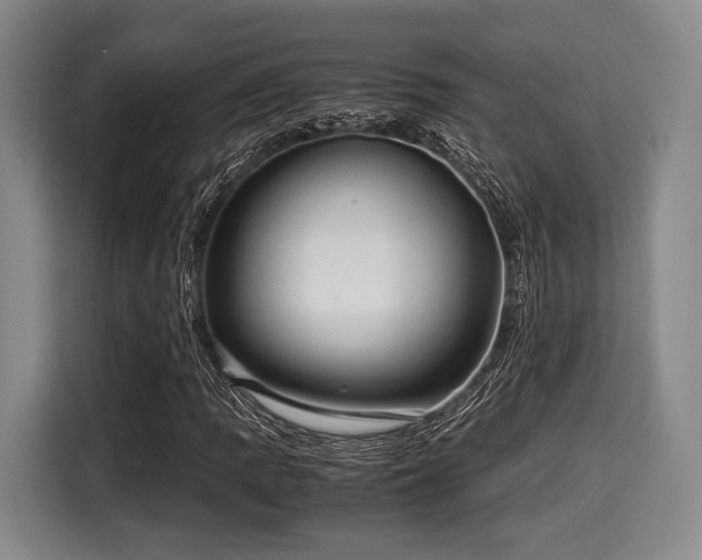 X0000116061109200911271237