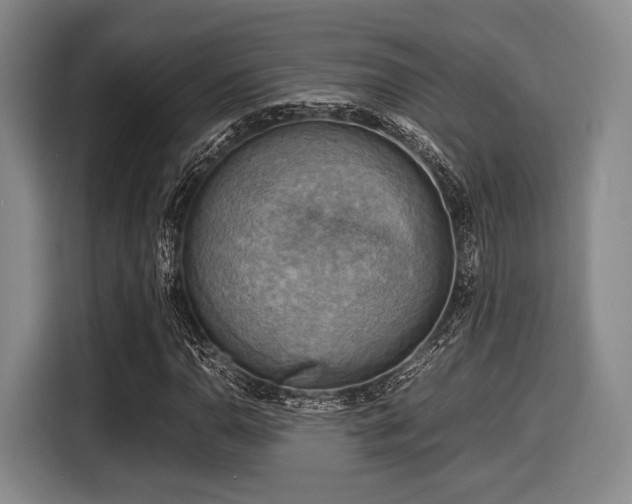 X0000116061110200911271237