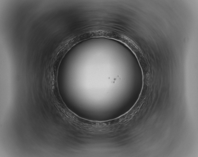 X0000116061111200911271237