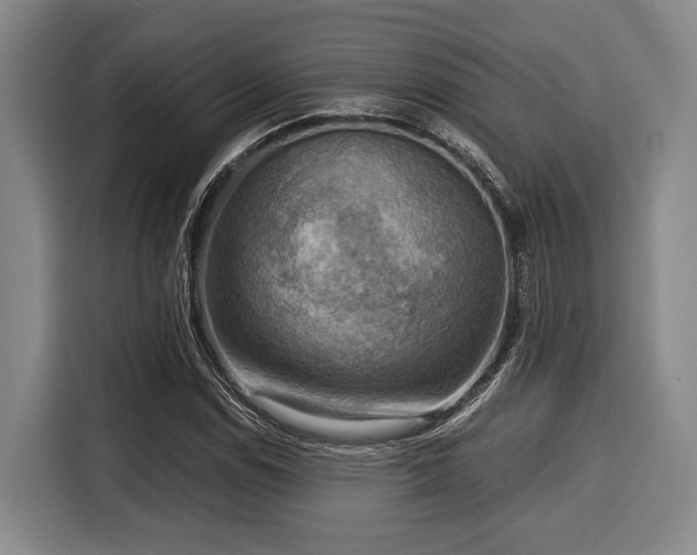 X0000116061114200911271237