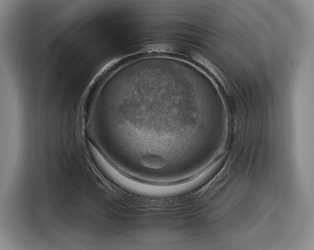 X0000116061115200911271237