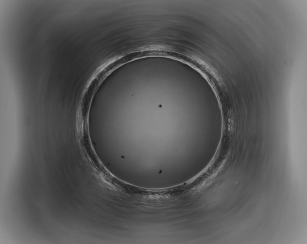 X0000116061117200911271237