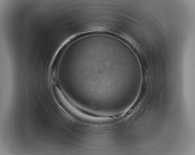X0000116061118200911271237