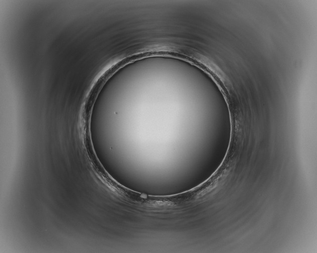 X0000116061119200911271237