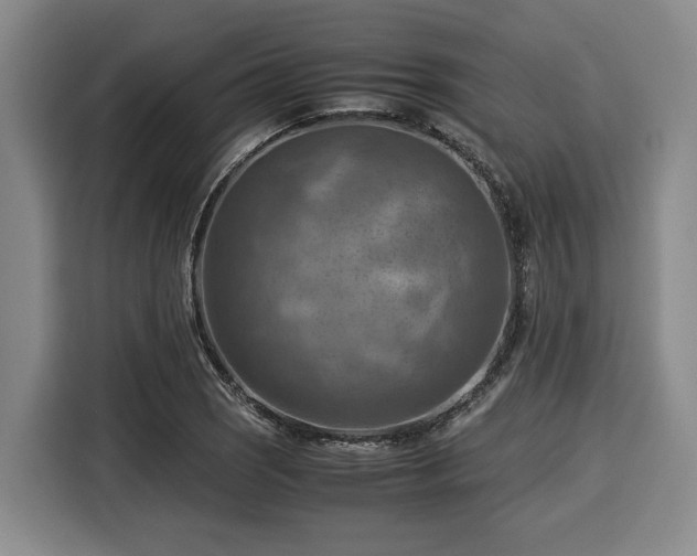X0000116061121200911271237