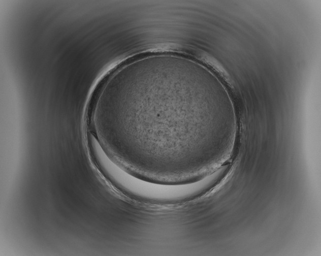 X0000116061122200911271237