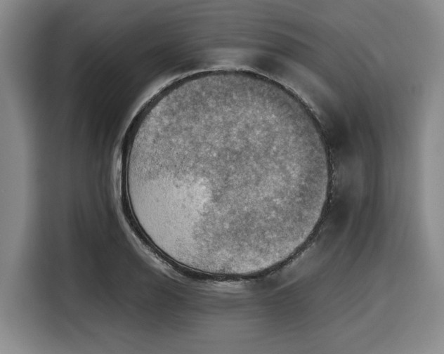 X0000116061126200911271237