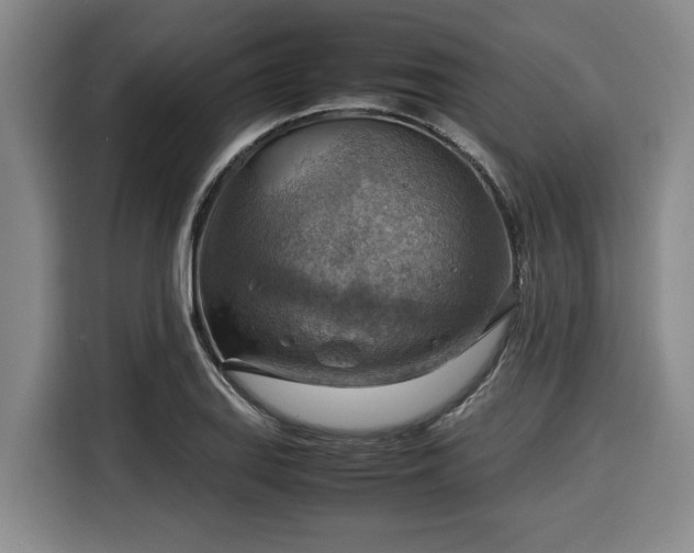 X0000116061127200911271237