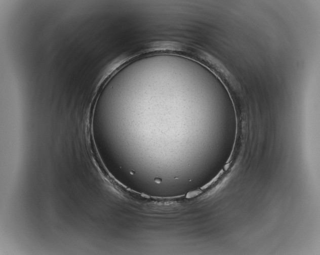 X0000116061129200911271237