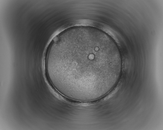 X0000116061130200911271237
