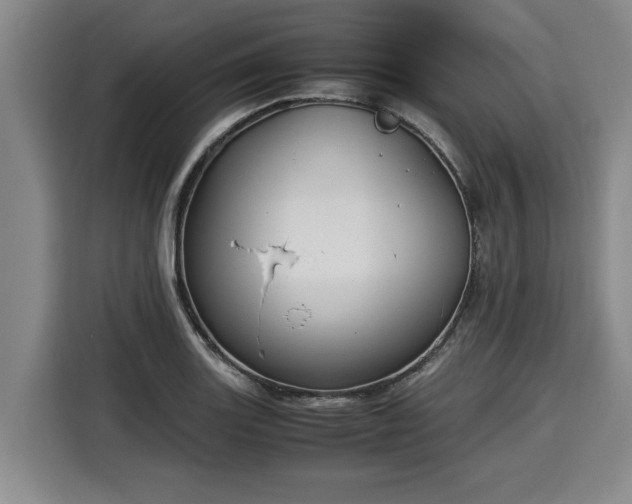 X0000116061131200911271237
