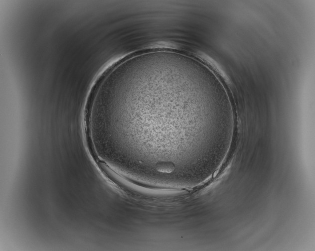 X0000116061133200911271237