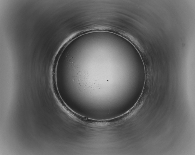 X0000116061134200911271237
