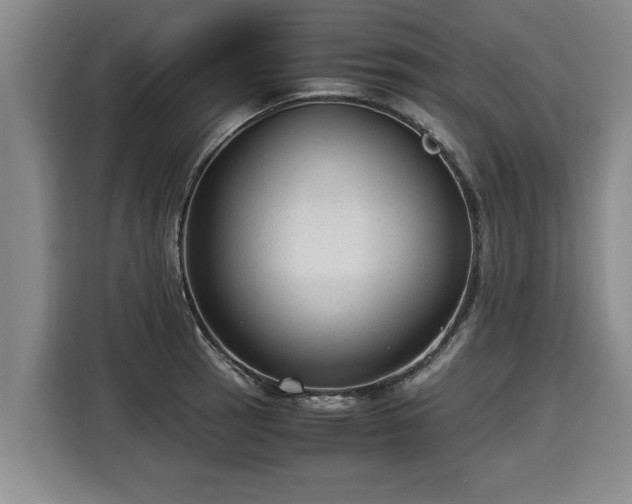 X0000116061137200911271237