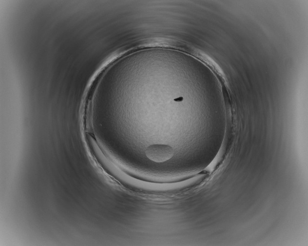 X0000116061138200911271237