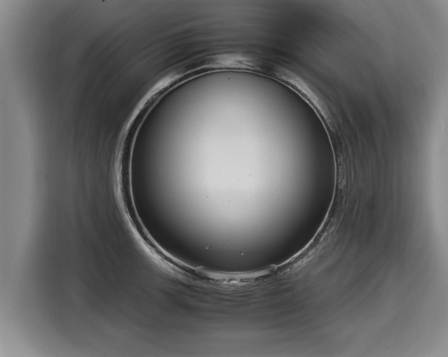 X0000116061139200911271237