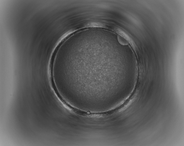 X0000116061141200911271237